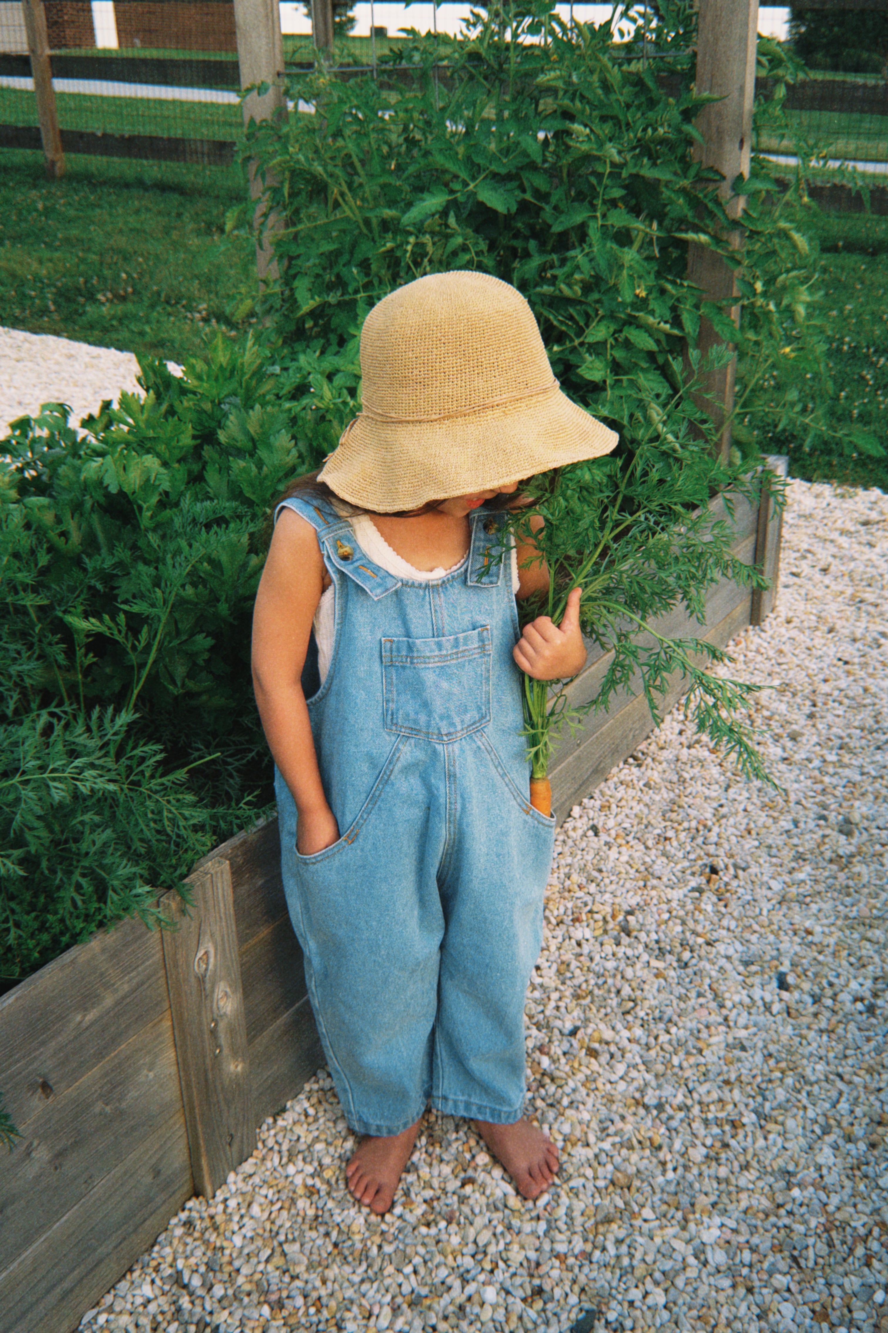 TSF – The Simple Folk